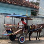 Delman-Bandung-2